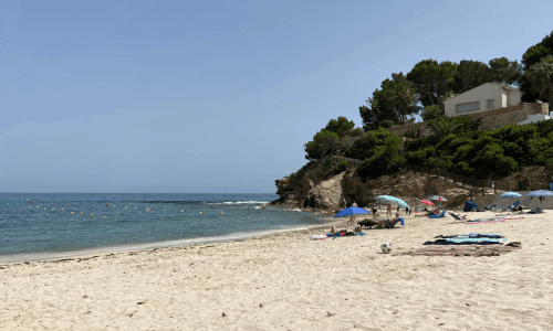 la fustera