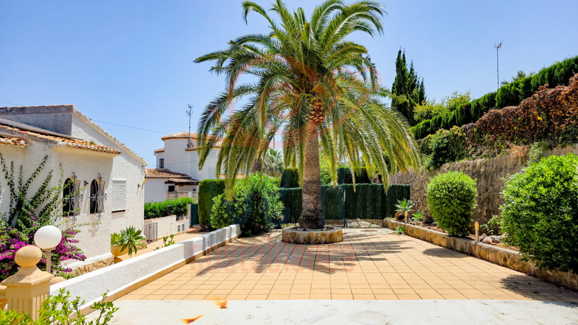 CASA OASIS